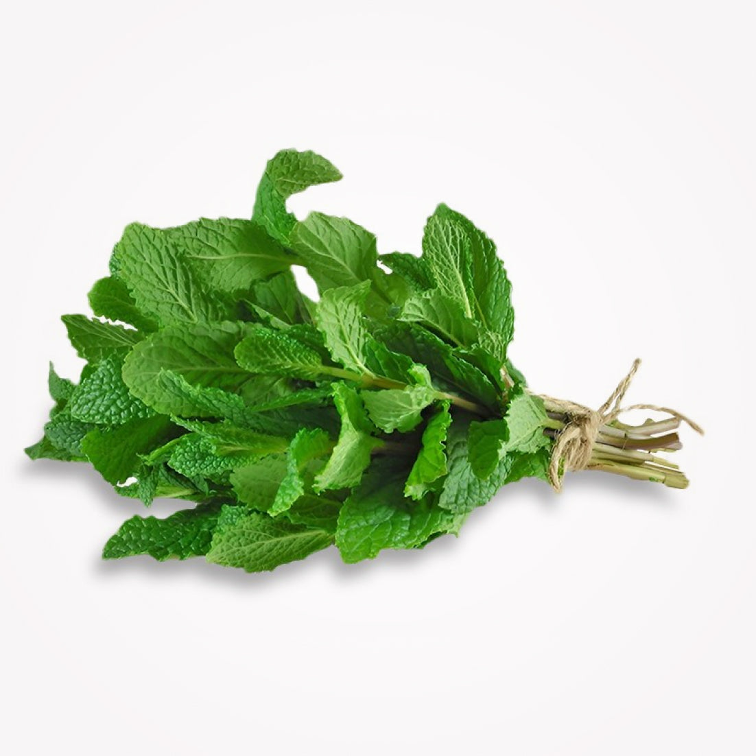 MINT LEAVES - 1CT  - (Store pickup only)