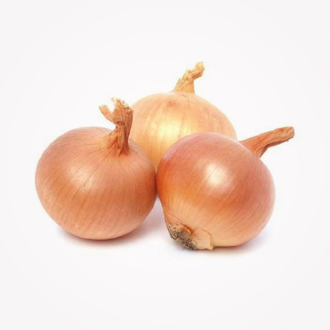 ONION YELLOW MED 5 LB  - (Store pickup only)