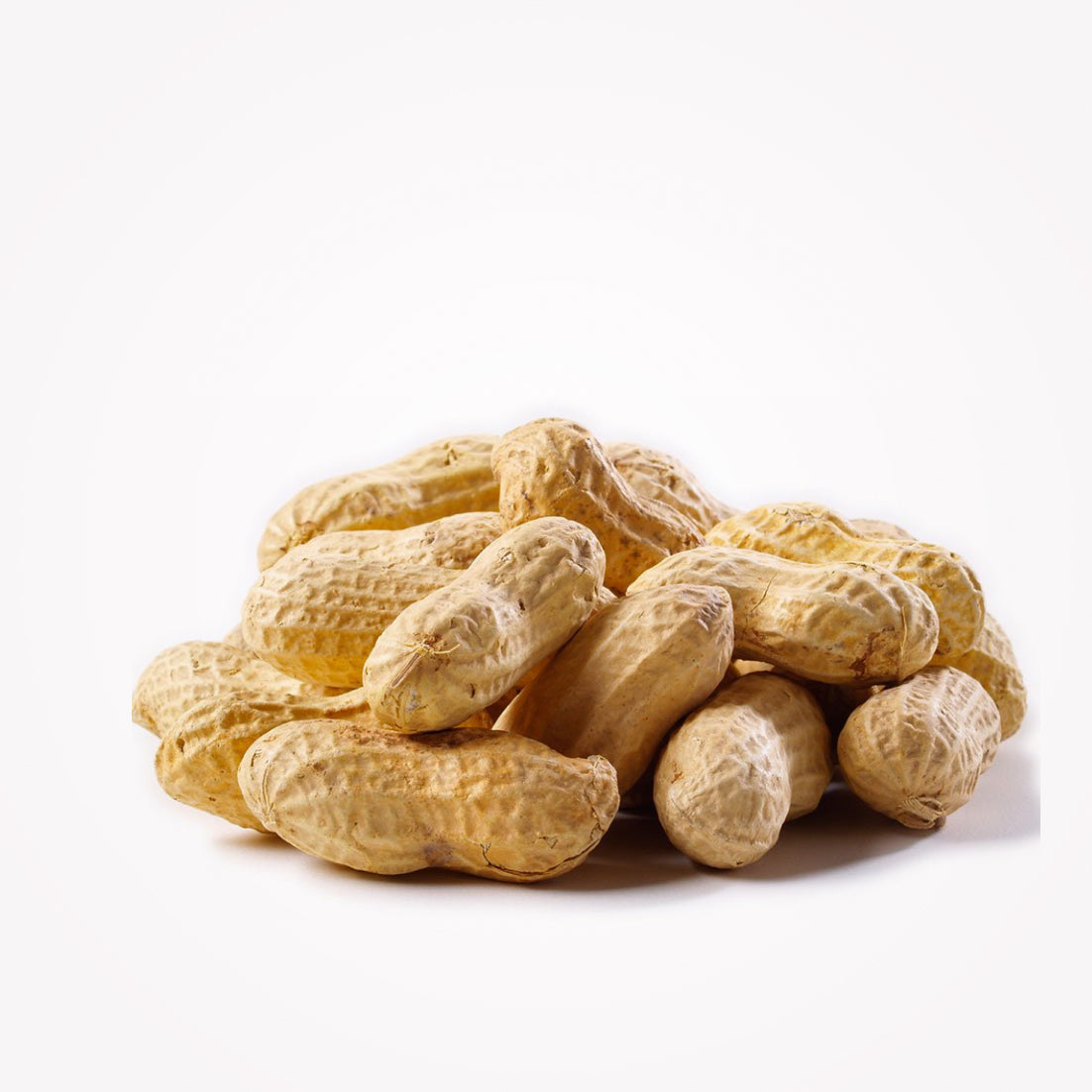 RAW PEANUTS WITH SHELL - 1LB