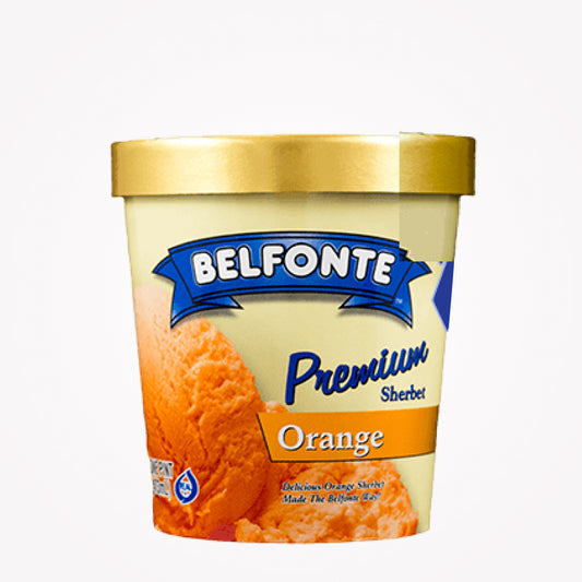 BELFONTE ORANGE ICE CREAM-473ML